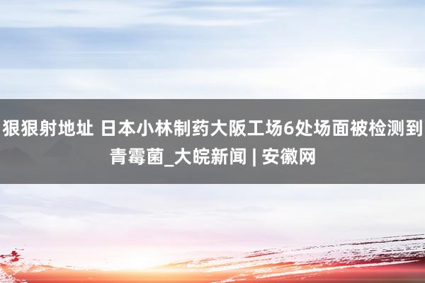 狠狠射地址 日本小林制药大阪工场6处场面被检测到青霉菌_大皖新闻 | 安徽网