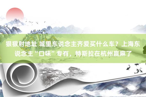 狠狠射地址 城里东说念主齐爱买什么车？上海东说念主“口味”专有，特斯拉在杭州赢麻了