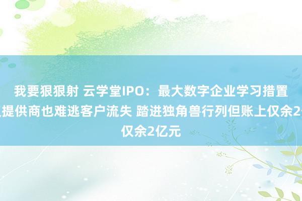 我要狠狠射 云学堂IPO：最大数字企业学习措置决议提供商也难逃客户流失 踏进独角兽行列但账上仅余2亿元