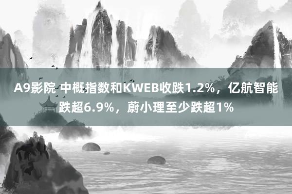 A9影院 中概指数和KWEB收跌1.2%，亿航智能跌超6.9%，蔚小理至少跌超1%