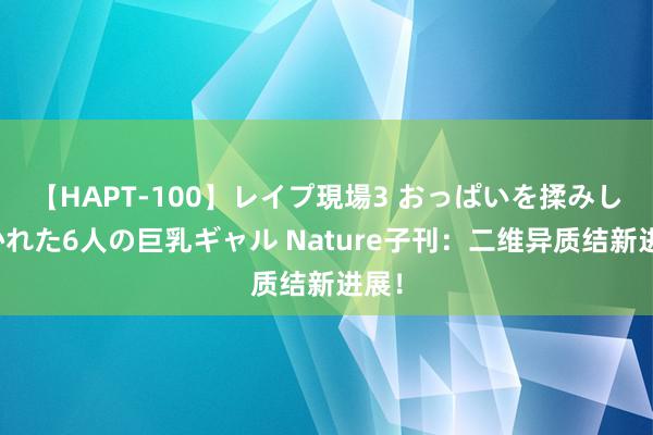 【HAPT-100】レイプ現場3 おっぱいを揉みしだかれた6人の巨乳ギャル Nature子刊：二维异质结新进展！