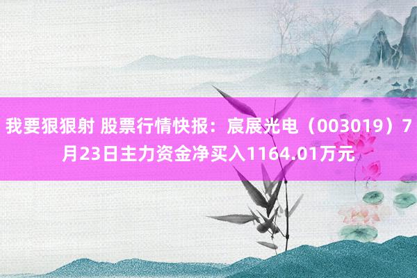 我要狠狠射 股票行情快报：宸展光电（003019）7月23日主力资金净买入1164.01万元