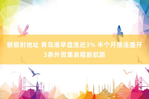 狠狠射地址 青岛港早盘涨近3% 半个月接连盛开3条外贸集装箱新航路