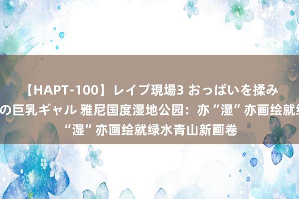 【HAPT-100】レイプ現場3 おっぱいを揉みしだかれた6人の巨乳ギャル 雅尼国度湿地公园：亦“湿”亦画绘就绿水青山新画卷