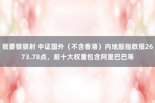 我要狠狠射 中证国外（不含香港）内地股指数报2673.78点，前十大权重包含阿里巴巴等