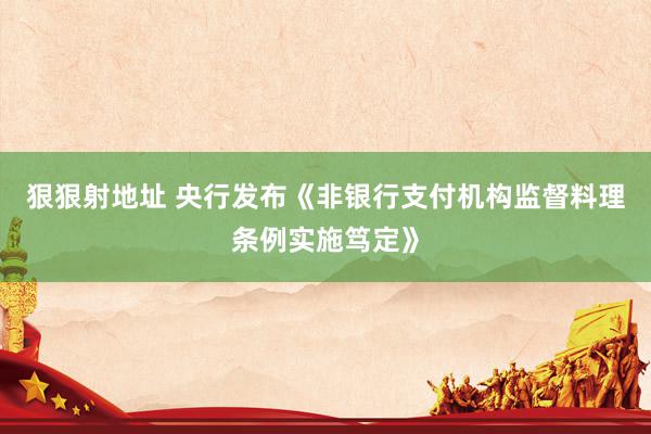 狠狠射地址 央行发布《非银行支付机构监督料理条例实施笃定》