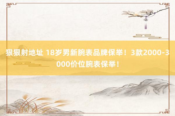 狠狠射地址 18岁男新腕表品牌保举！3款2000-3000价位腕表保举！