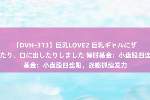 【DVH-313】巨乳LOVE2 巨乳ギャルにザーメンを中出ししたり、口に出したりしました 博时基金：小盘股四连阳，战略抓续发力