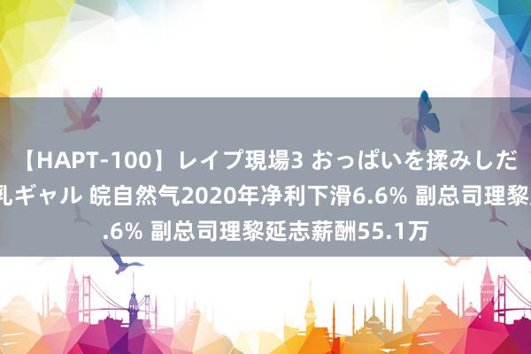 【HAPT-100】レイプ現場3 おっぱいを揉みしだかれた6人の巨乳ギャル 皖自然气2020年净利下滑6.6% 副总司理黎延志薪酬55.1万