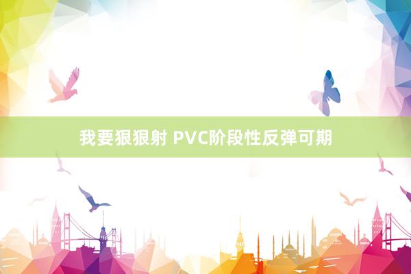 我要狠狠射 PVC阶段性反弹可期