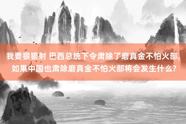 我要狠狠射 巴西总统下令肃除了磨真金不怕火部, 如果中国也肃除磨真金不怕火部将会发生什么?