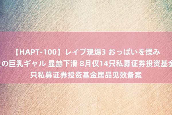 【HAPT-100】レイプ現場3 おっぱいを揉みしだかれた6人の巨乳ギャル 显赫下滑 8月仅14只私募证券投资基金居品见效备案