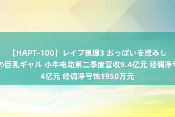 【HAPT-100】レイプ現場3 おっぱいを揉みしだかれた6人の巨乳ギャル 小牛电动第二季度营收9.4亿元 经调净亏蚀1950万元