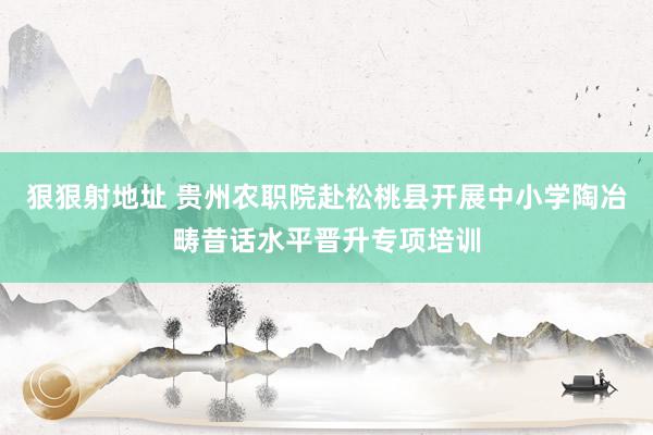 狠狠射地址 贵州农职院赴松桃县开展中小学陶冶畴昔话水平晋升专项培训