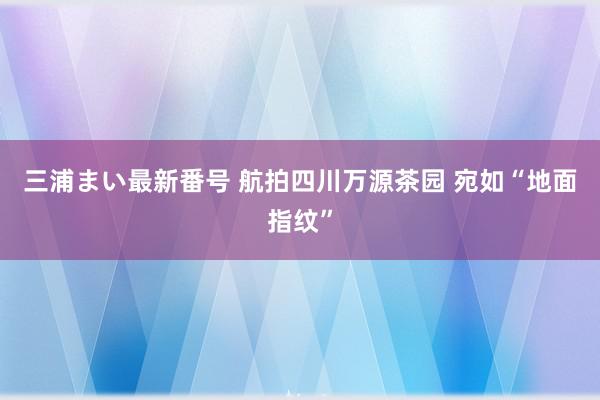 三浦まい最新番号 航拍四川万源茶园 宛如“地面指纹”