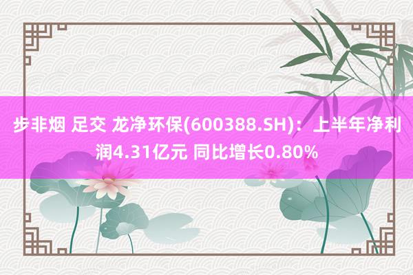 步非烟 足交 龙净环保(600388.SH)：上半年净利润4.31亿元 同比增长0.80%