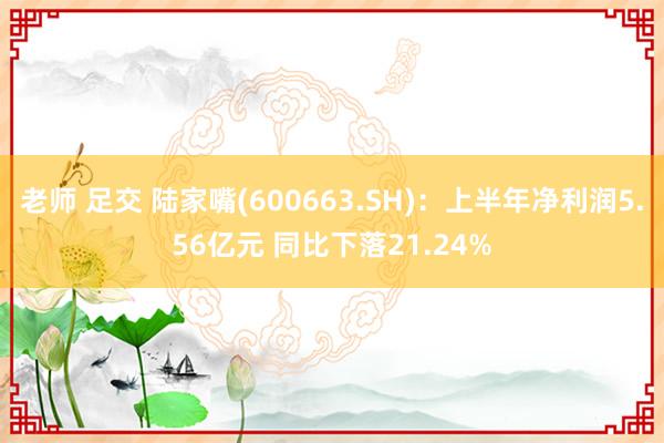 老师 足交 陆家嘴(600663.SH)：上半年净利润5.56亿元 同比下落21.24%